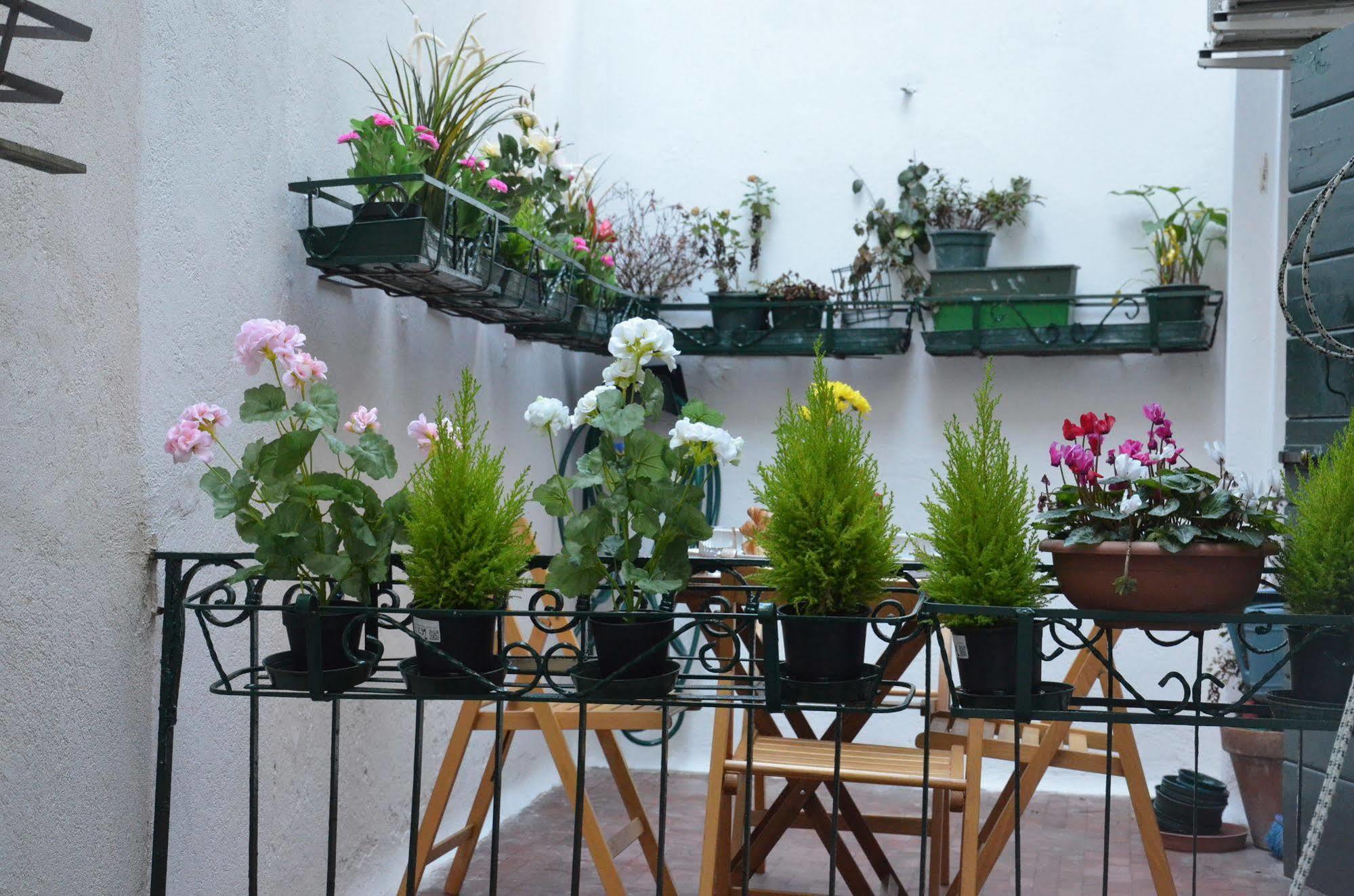 Venice Life Eksteriør billede
